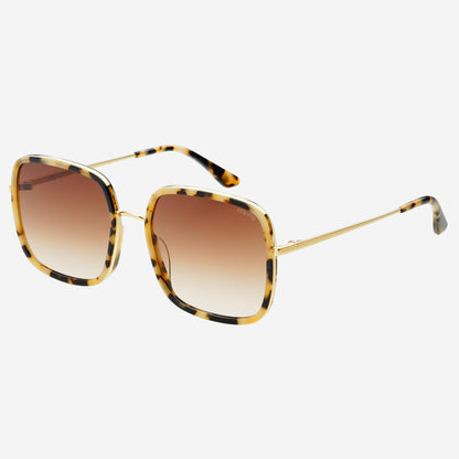 Cosmo Square Sunglasses Acetate