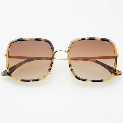 Cosmo Square Sunglasses Acetate