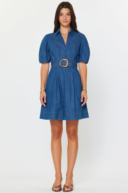 Denim Button Down Belted Mini Dress