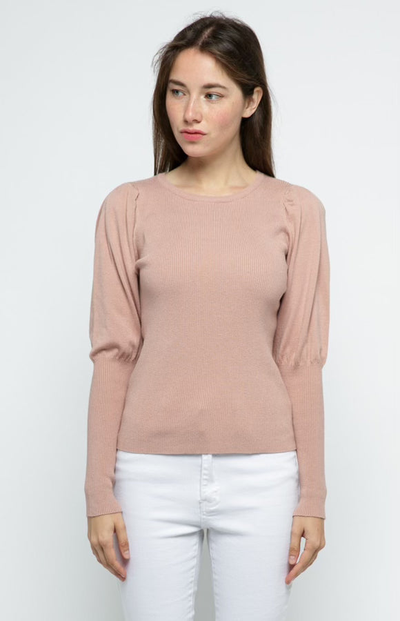 Faded Rose Top