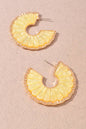 Scalloped Resin Hoop Earrings